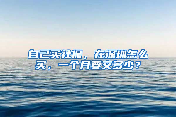 自己买社保，在深圳怎么买，一个月要交多少？