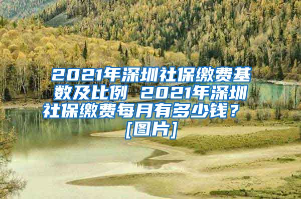 2021年深圳社保缴费基数及比例 2021年深圳社保缴费每月有多少钱？ [图片]