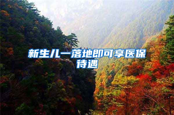 新生儿一落地即可享医保待遇
