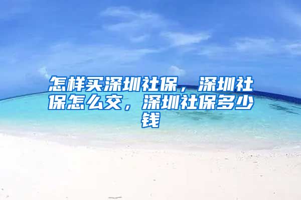 怎样买深圳社保，深圳社保怎么交，深圳社保多少钱