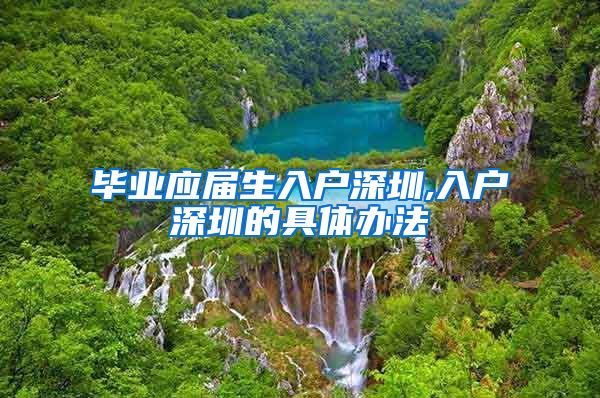 毕业应届生入户深圳,入户深圳的具体办法