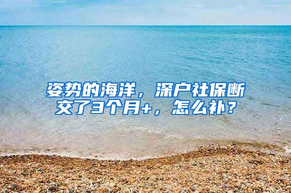 姿势的海洋，深户社保断交了3个月+，怎么补？