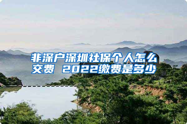 非深户深圳社保个人怎么交费 2022缴费是多少