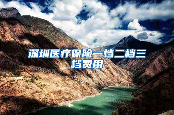 深圳医疗保险一档二档三档费用