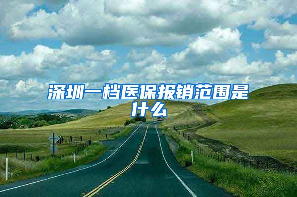 深圳一档医保报销范围是什么