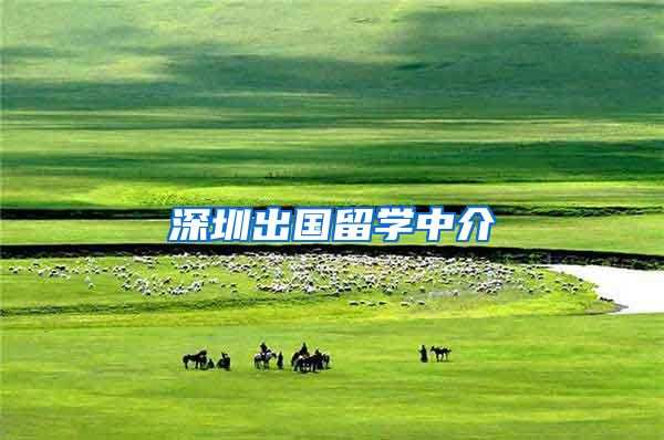 深圳出国留学中介