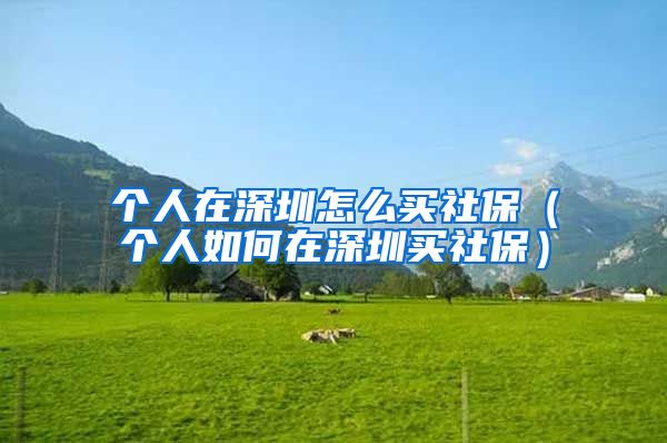 个人在深圳怎么买社保（个人如何在深圳买社保）