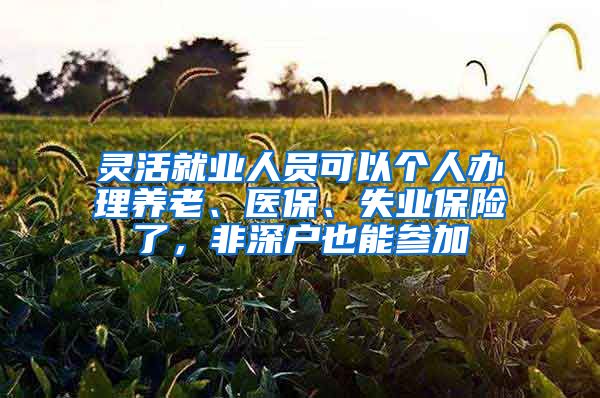 灵活就业人员可以个人办理养老、医保、失业保险了，非深户也能参加