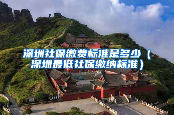 深圳社保缴费标准是多少（深圳最低社保缴纳标准）