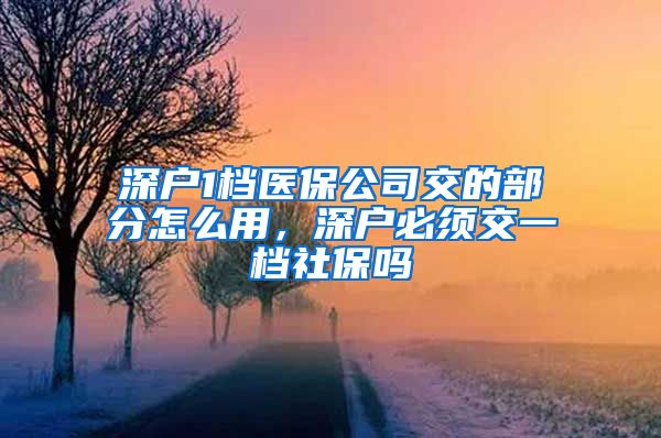 深户1档医保公司交的部分怎么用，深户必须交一档社保吗