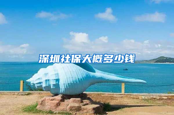 深圳社保大概多少钱