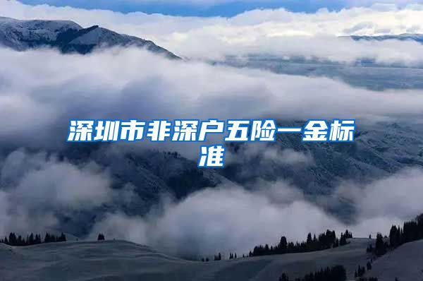 深圳市非深户五险一金标准