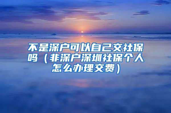 不是深户可以自己交社保吗（非深户深圳社保个人怎么办理交费）