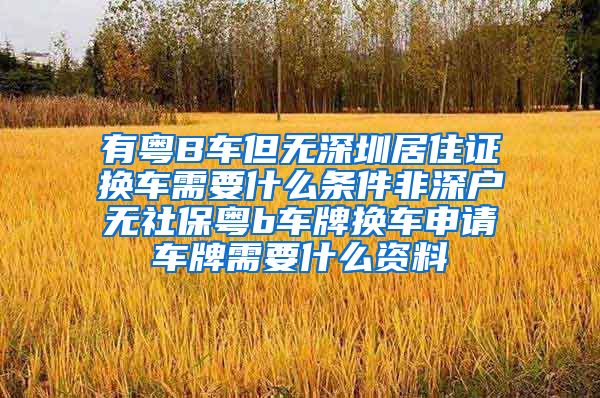 有粤B车但无深圳居住证换车需要什么条件非深户无社保粤b车牌换车申请车牌需要什么资料