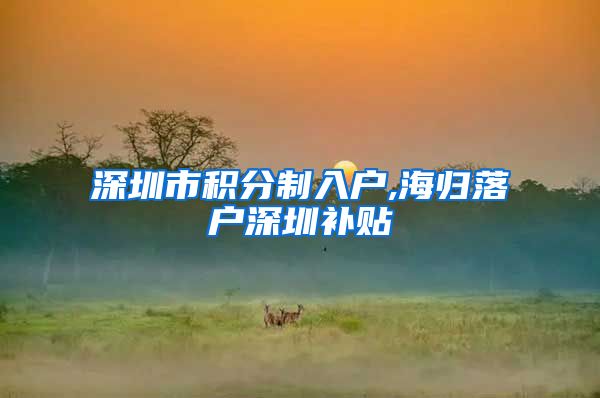 深圳市积分制入户,海归落户深圳补贴