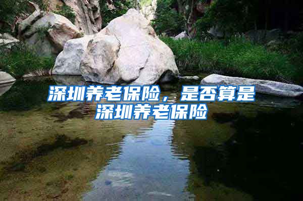 深圳养老保险，是否算是深圳养老保险