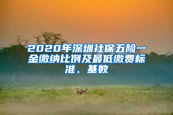 2020年深圳社保五险一金缴纳比例及最低缴费标准、基数