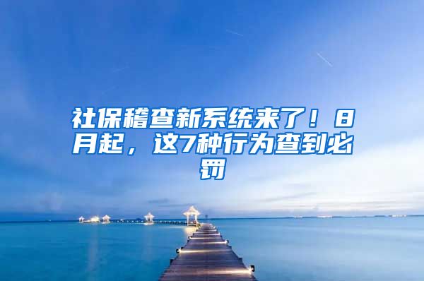 社保稽查新系统来了！8月起，这7种行为查到必罚