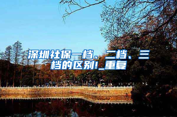 深圳社保一档、二档、三档的区别!_重复
