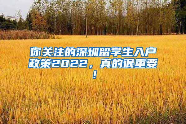 你关注的深圳留学生入户政策2022，真的很重要！