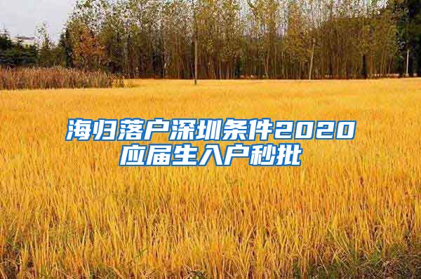海归落户深圳条件2020应届生入户秒批