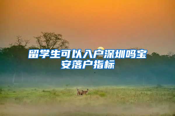 留学生可以入户深圳吗宝安落户指标