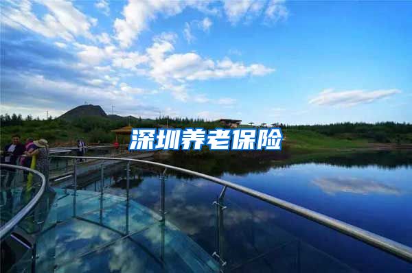 深圳养老保险
