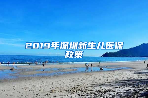 2019年深圳新生儿医保政策