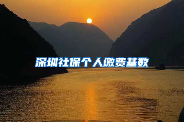 深圳社保个人缴费基数