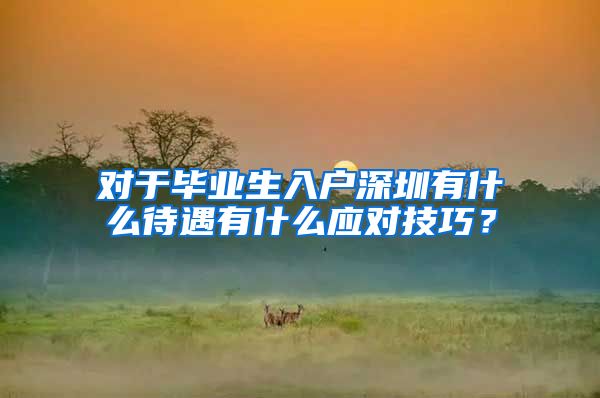 对于毕业生入户深圳有什么待遇有什么应对技巧？