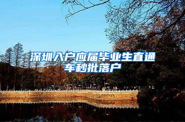 深圳入户应届毕业生直通车秒批落户