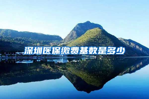 深圳医保缴费基数是多少