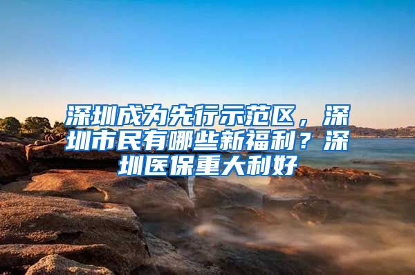 深圳成为先行示范区，深圳市民有哪些新福利？深圳医保重大利好