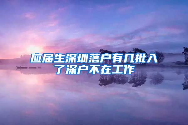 应届生深圳落户有几批入了深户不在工作