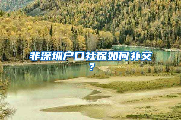 非深圳户口社保如何补交？