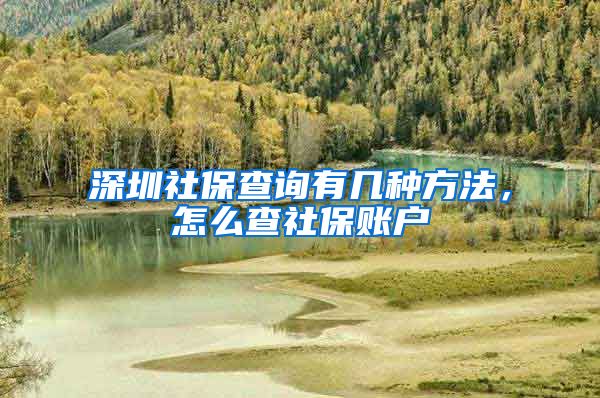 深圳社保查询有几种方法，怎么查社保账户