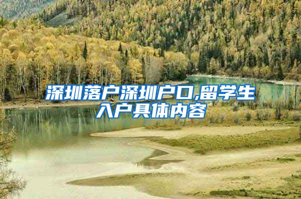 深圳落户深圳户口,留学生入户具体内容