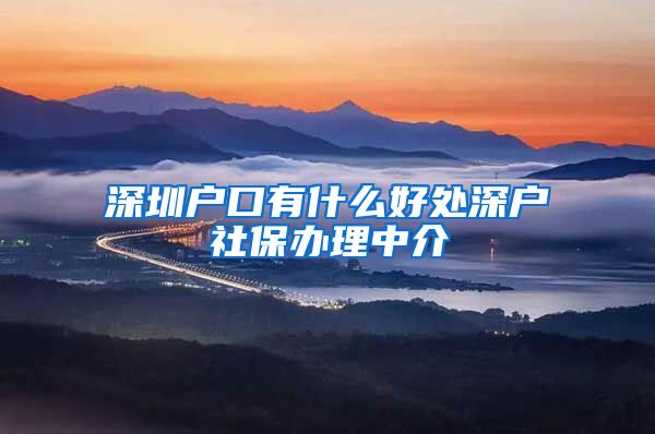 深圳户口有什么好处深户社保办理中介