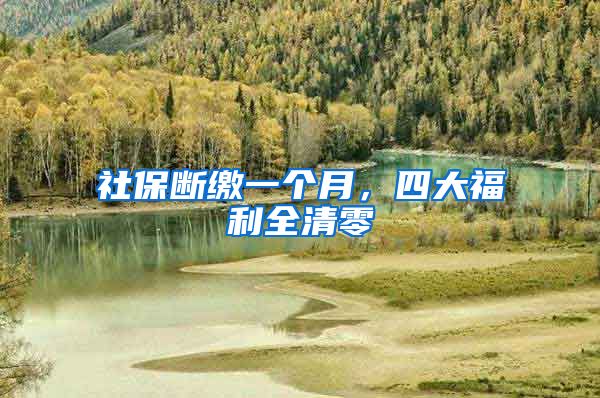 社保断缴一个月，四大福利全清零