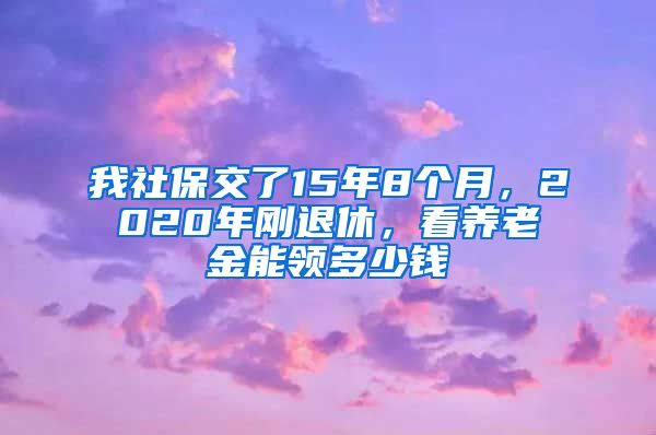 我社保交了15年8个月，2020年刚退休，看养老金能领多少钱
