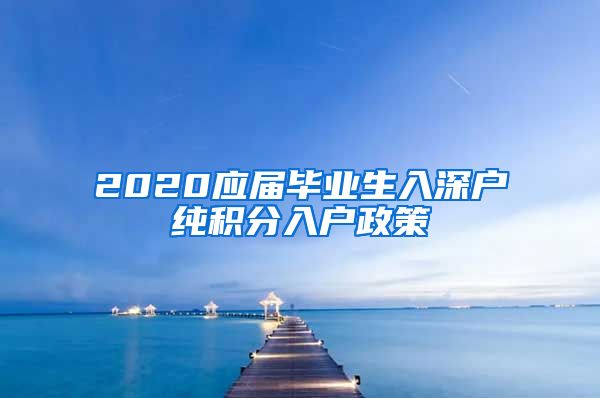 2020应届毕业生入深户纯积分入户政策