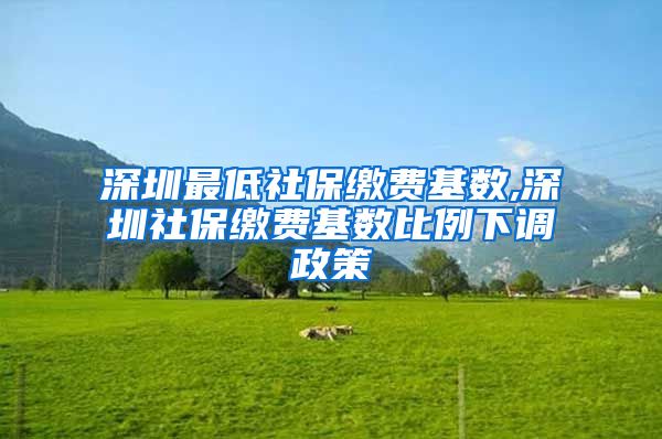 深圳最低社保缴费基数,深圳社保缴费基数比例下调政策