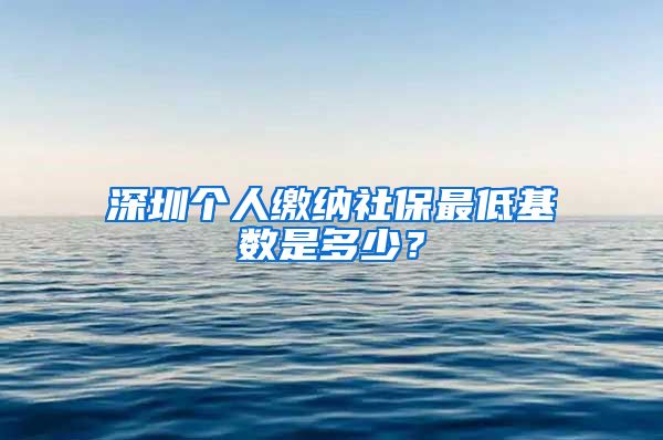 深圳个人缴纳社保最低基数是多少？