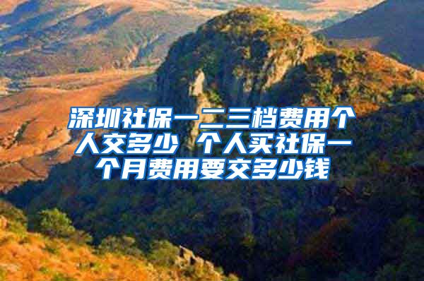 深圳社保一二三档费用个人交多少 个人买社保一个月费用要交多少钱