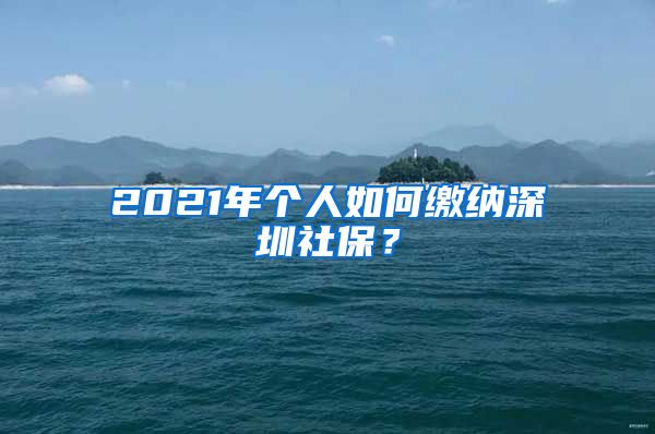 2021年个人如何缴纳深圳社保？