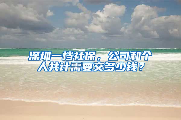 深圳一档社保，公司和个人共计需要交多少钱？