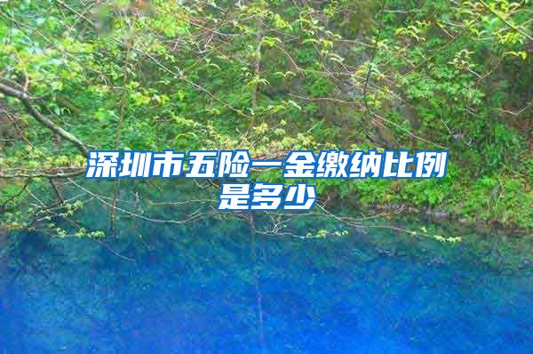 深圳市五险一金缴纳比例是多少