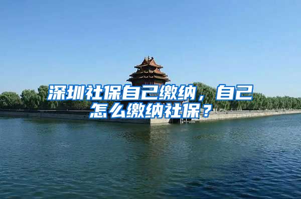 深圳社保自己缴纳，自己怎么缴纳社保？