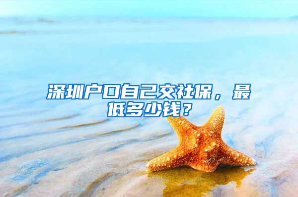 深圳户口自己交社保，最低多少钱？