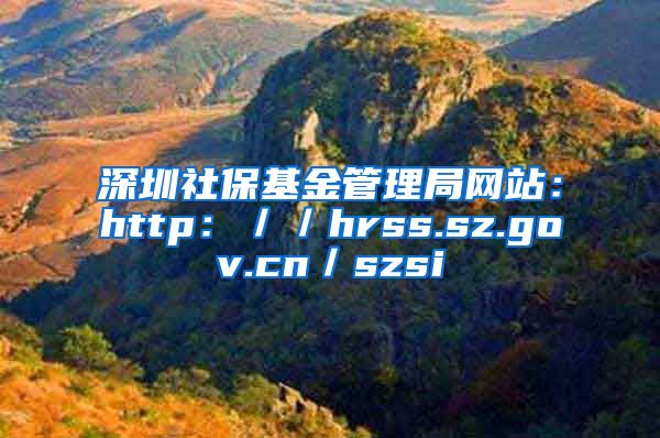 深圳社保基金管理局网站：http：／／hrss.sz.gov.cn／szsi